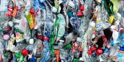 Reducing waste - what can I do?